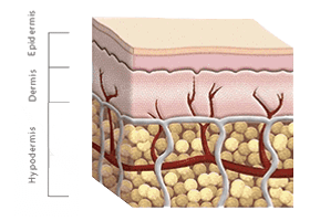 NaturaCel: after usage